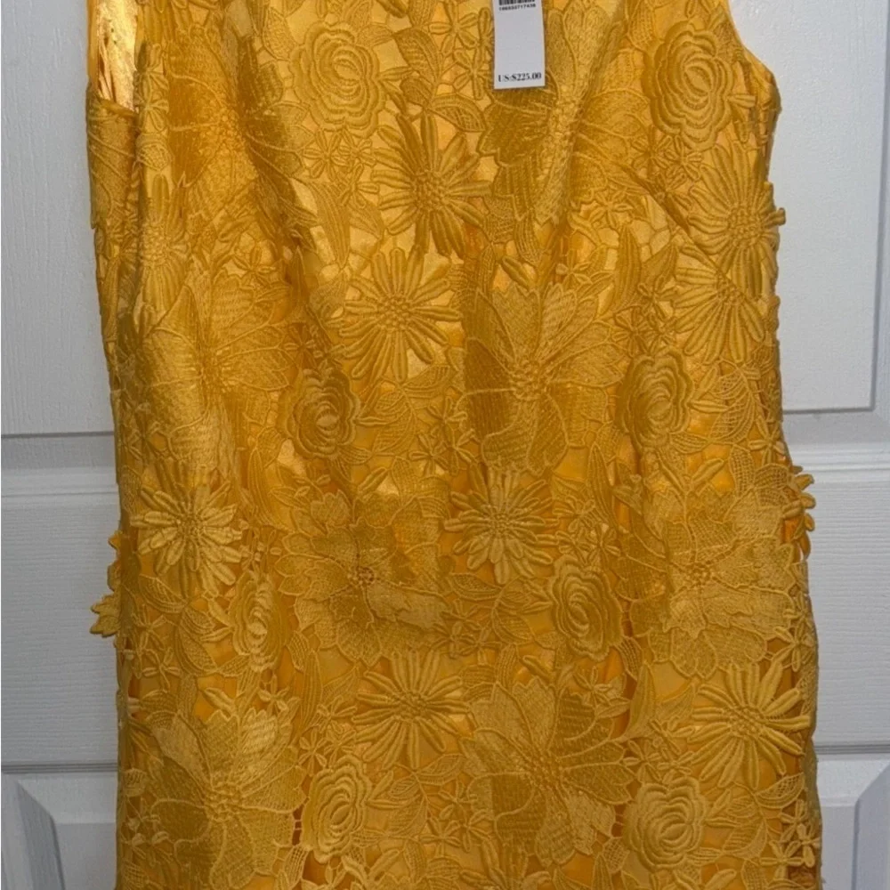 NWT WHBM Lace shift dress 6 Spring Easter Parade Lace Boho HAPPY Chic Bohemian - Picture 7 of 10